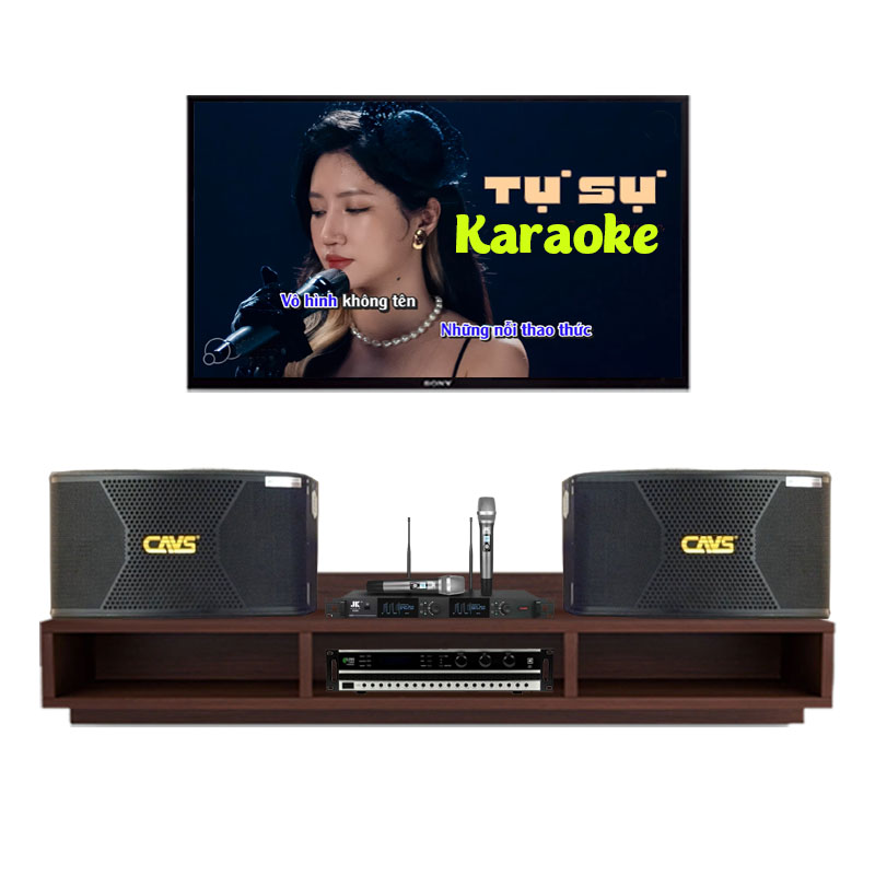 Dàn âm thanh karaoke gia đình giá bao nhiêu là hợp lý?